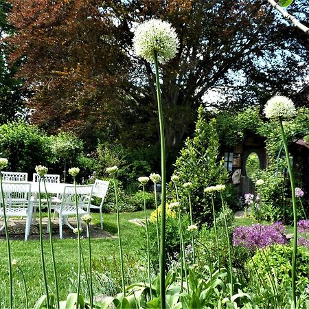 Bed and Breakfast Le Jardin Des Miroirs Esneux Екстер'єр фото
