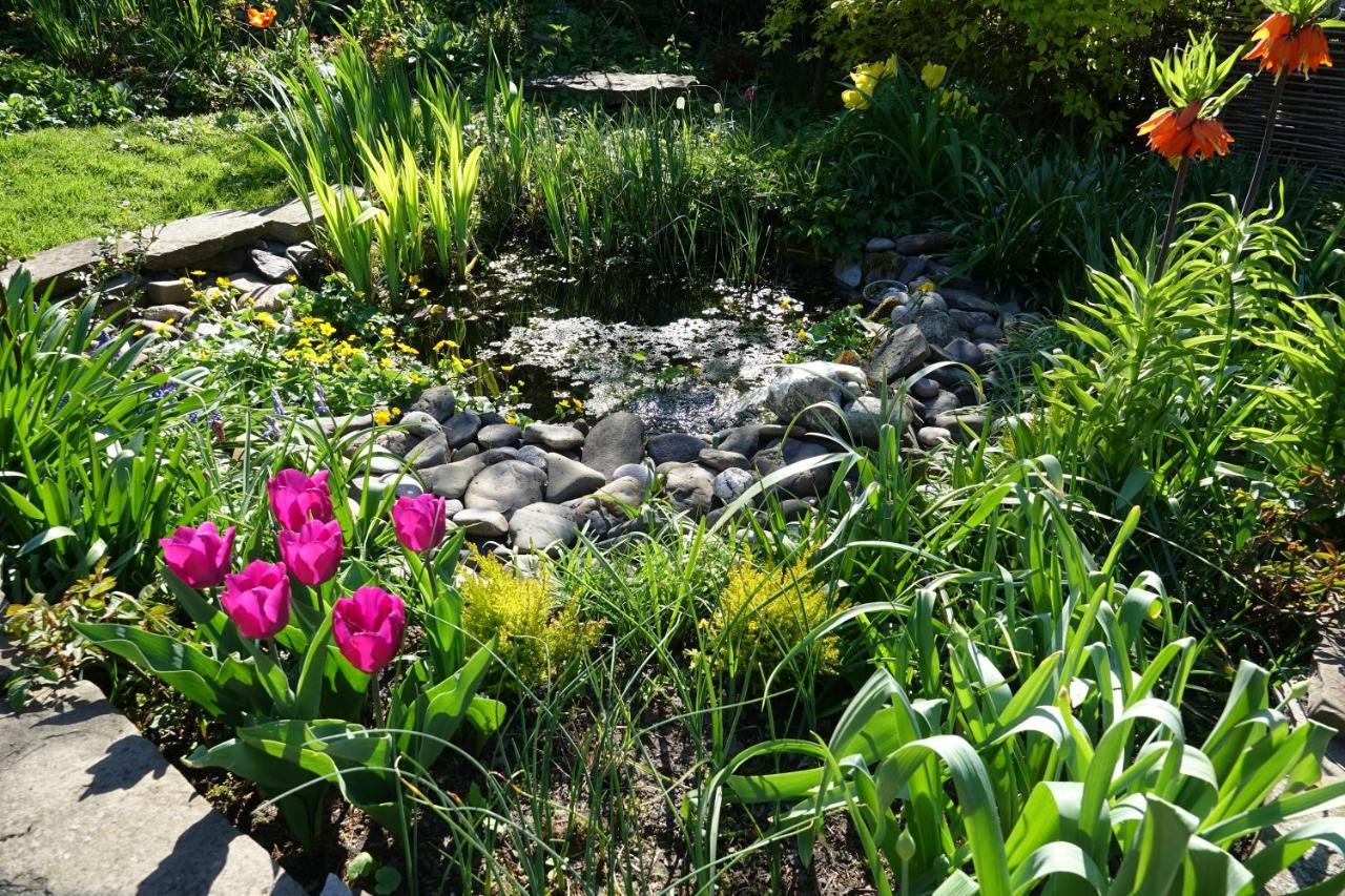 Bed and Breakfast Le Jardin Des Miroirs Esneux Екстер'єр фото