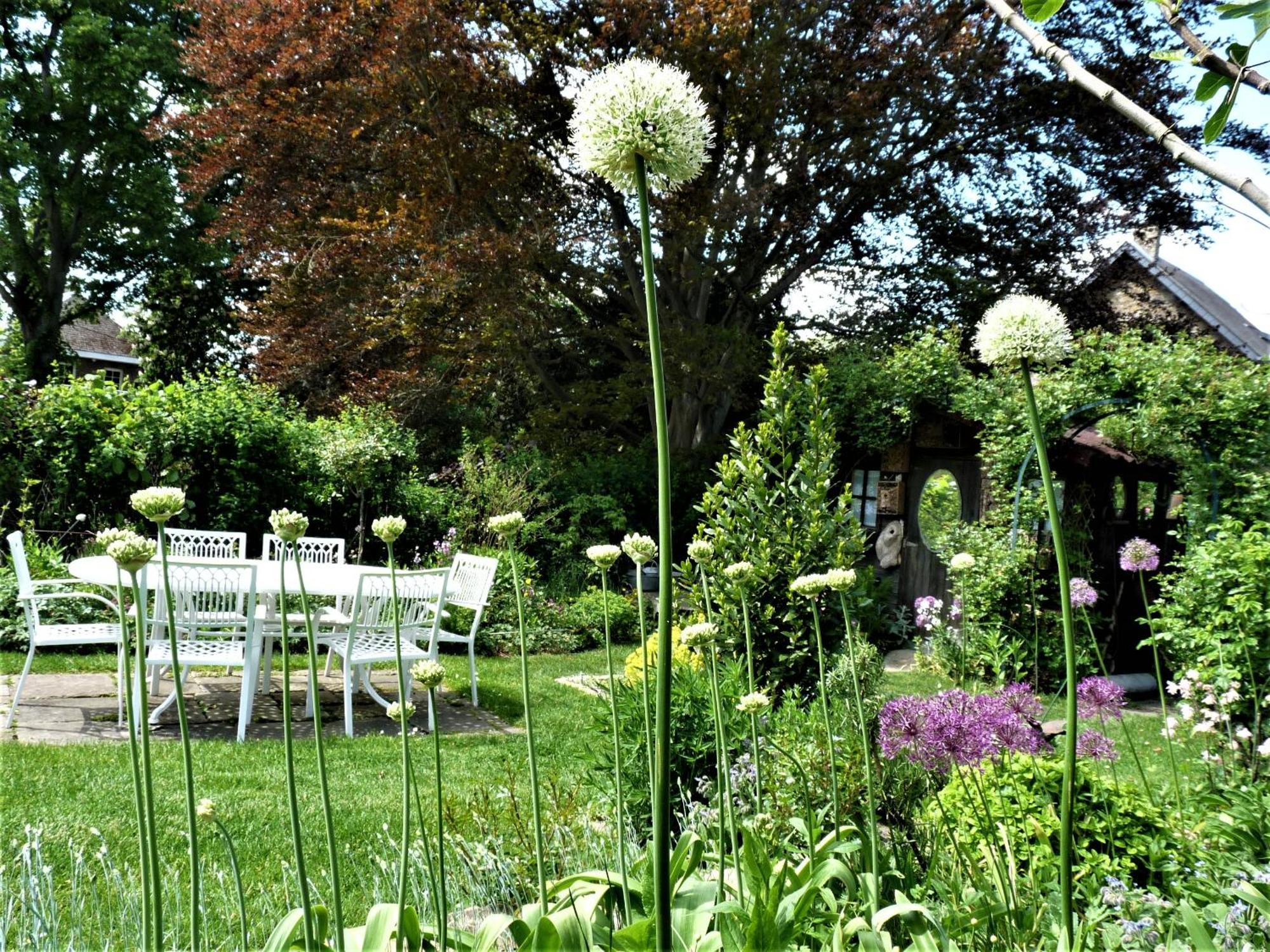 Bed and Breakfast Le Jardin Des Miroirs Esneux Екстер'єр фото